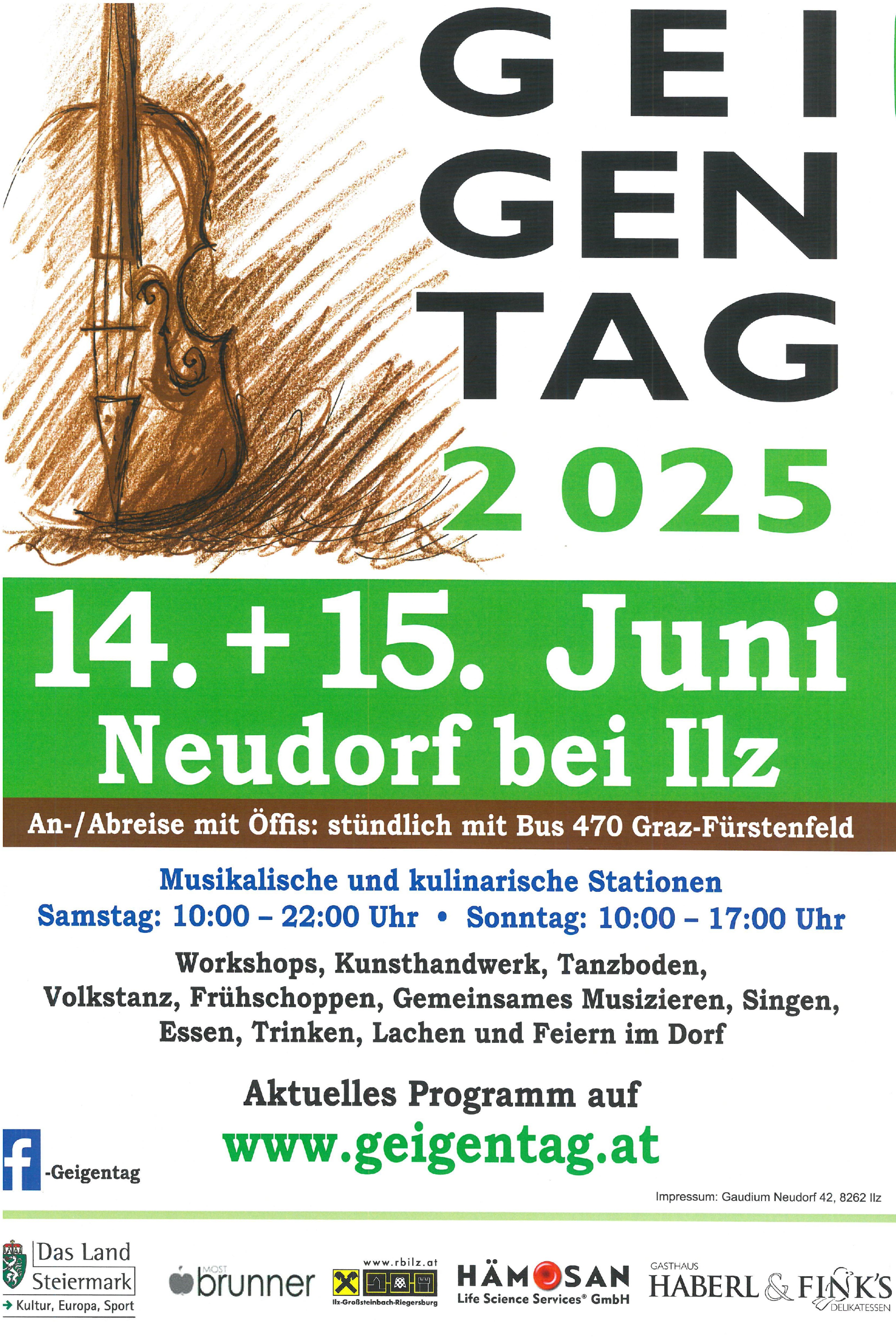Geigentag 2025